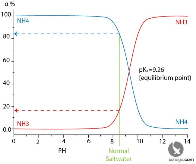 Nh4 ph